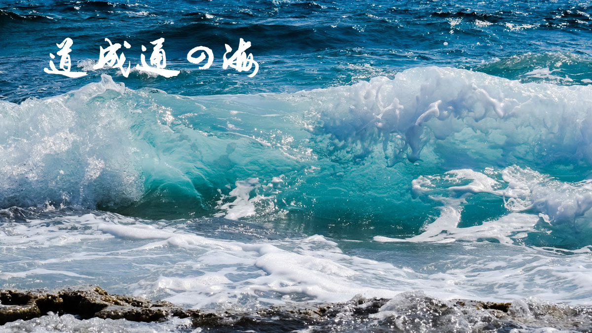 1573873335761026.jpg 1200-2.jpg