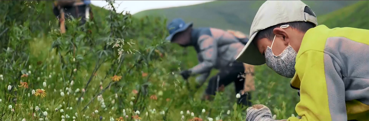 1574483603162860.png 微信图片_20191122175218.png