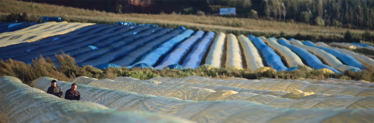 1574483637657315.png 微信图片_20191122175235.png