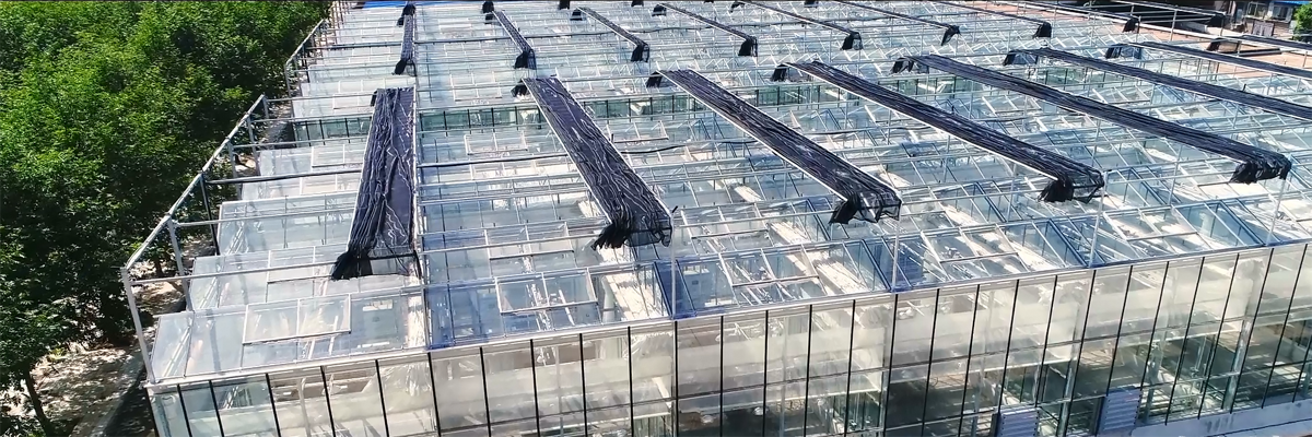 1574483645864918.png 微信图片_20191122175239.png